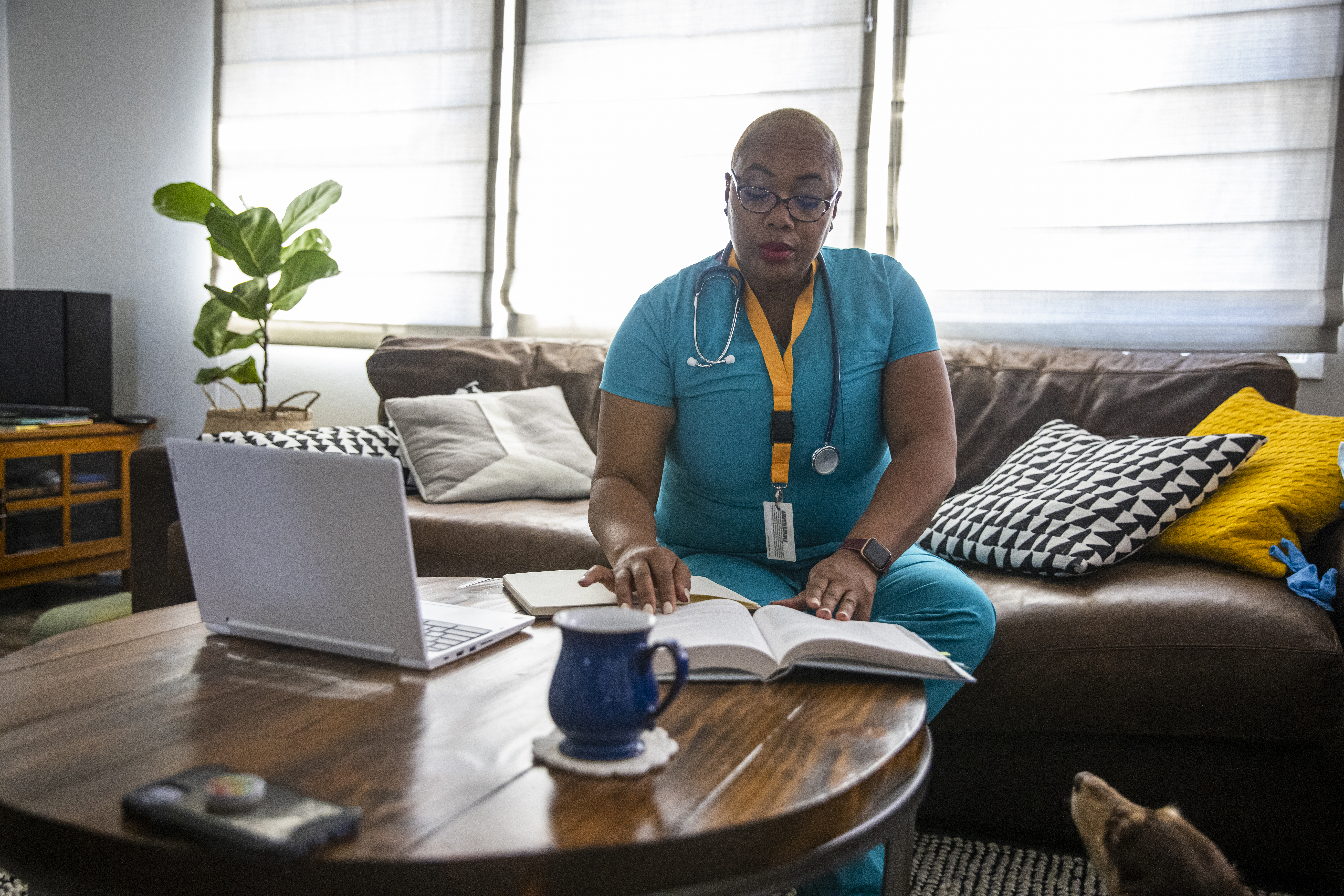 Portrayal of Capella nursing student
