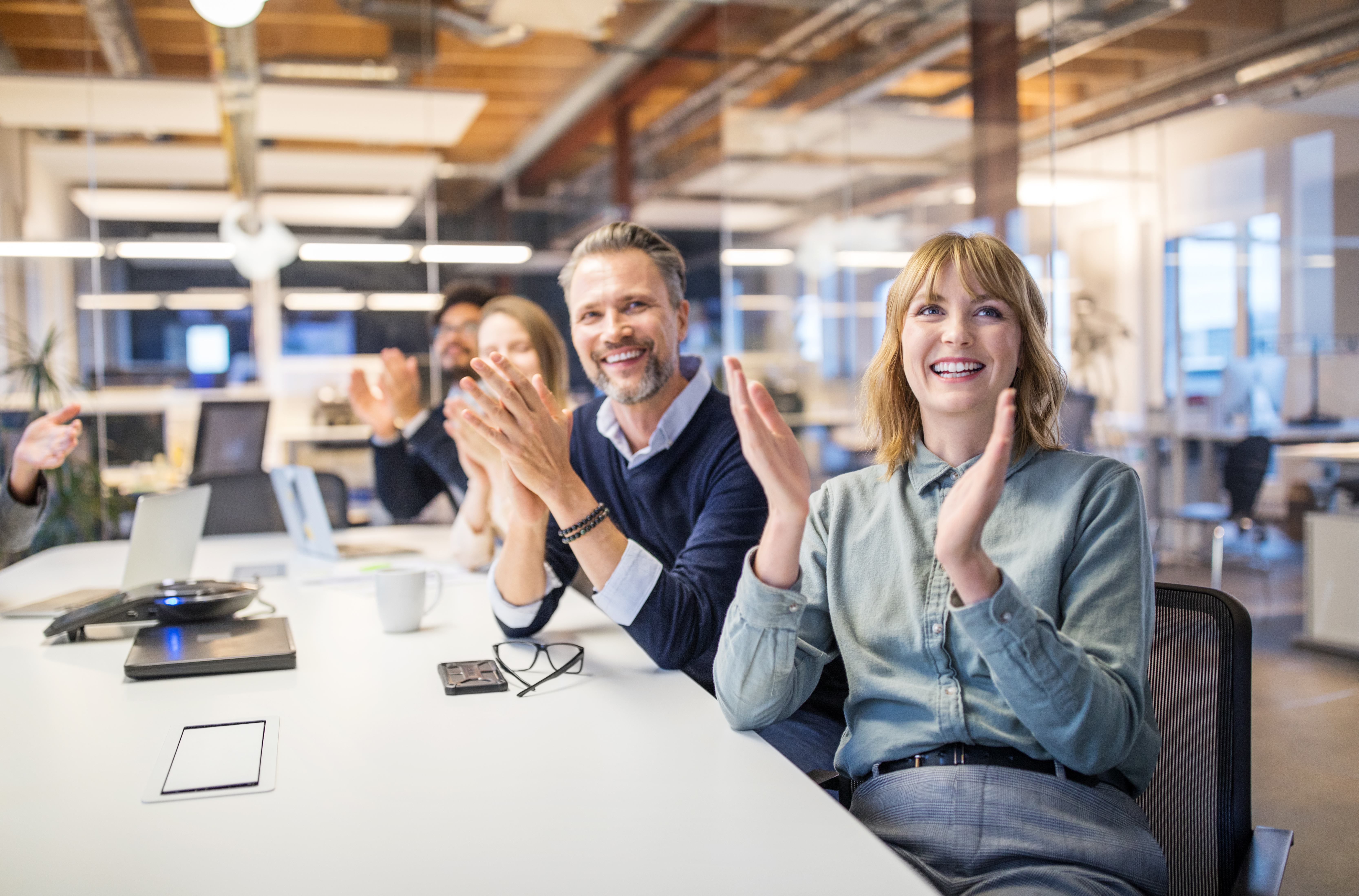 Portrayal of Capella online degree students
