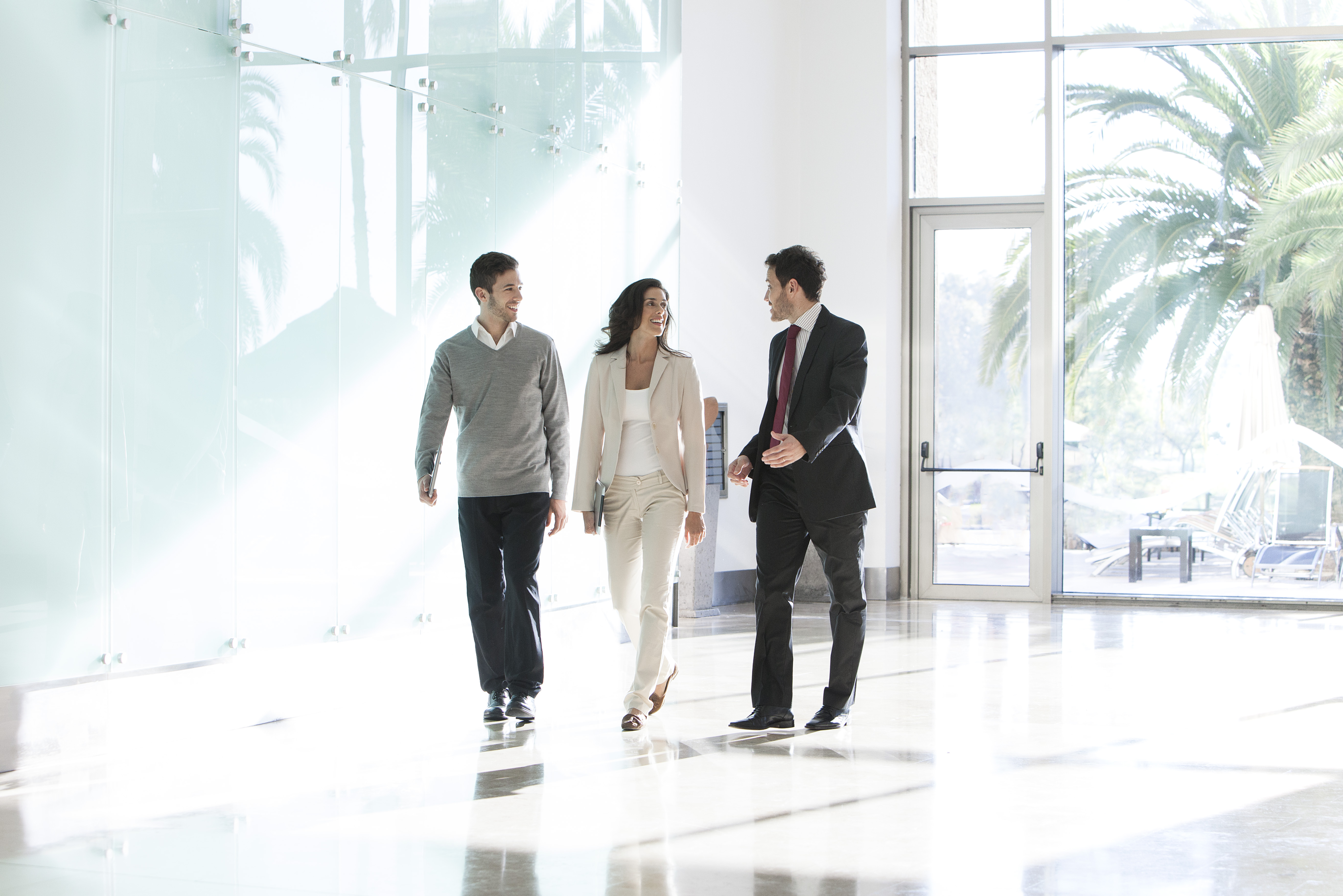 Portrayal of Capella public administration student.